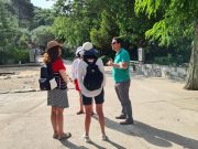 Kusadasi Tours & Excursions