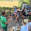 Kusadasi Tours & Excursions