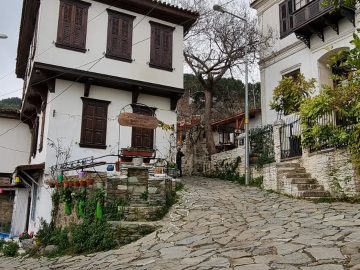 Kusadasi Tours & Excursions